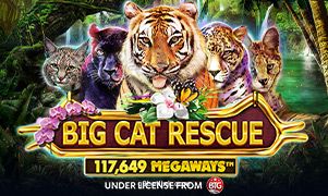 Imagem oficial do jogo Big Cat Rescue Megaways no q9bet
